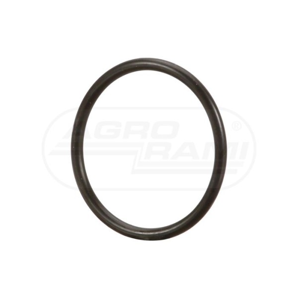 O-ring