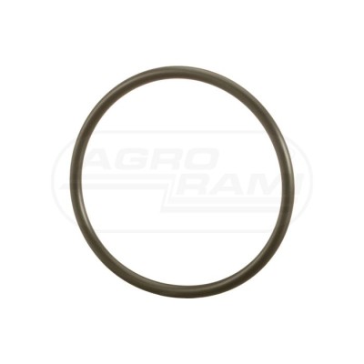 O-ring