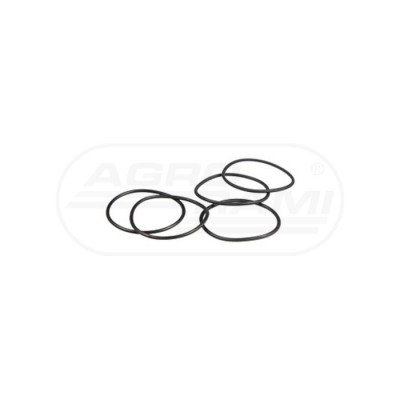 O-ring