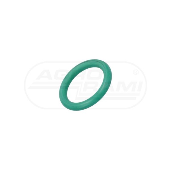 O-ring