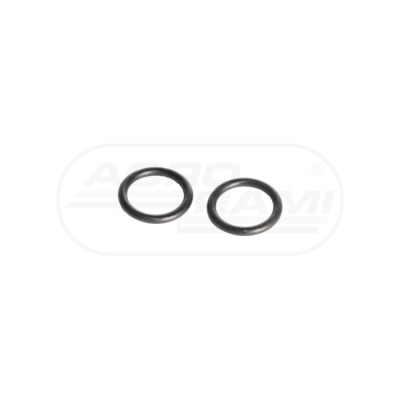 O-RING