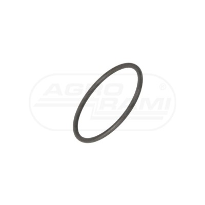 O-ring