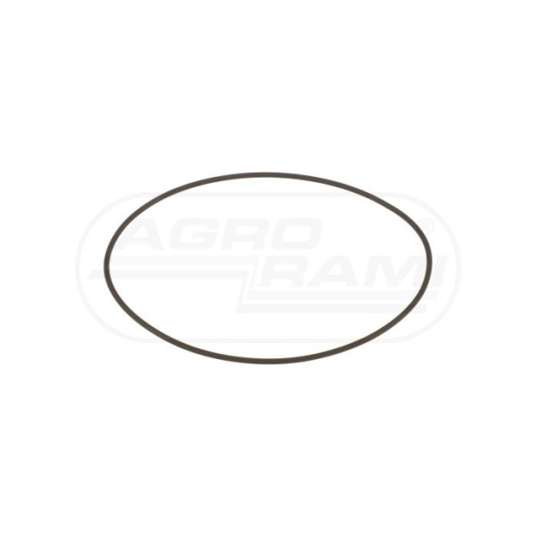 O-ring