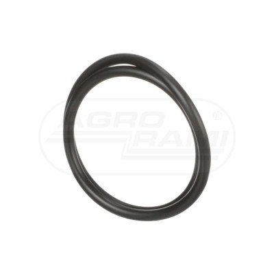 O-ring