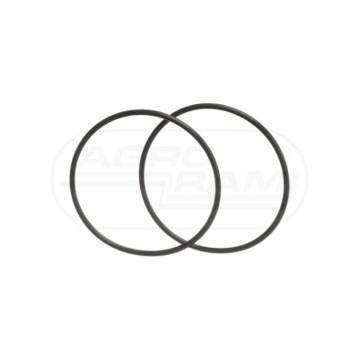 O-ring