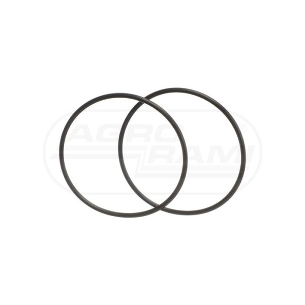 O-ring