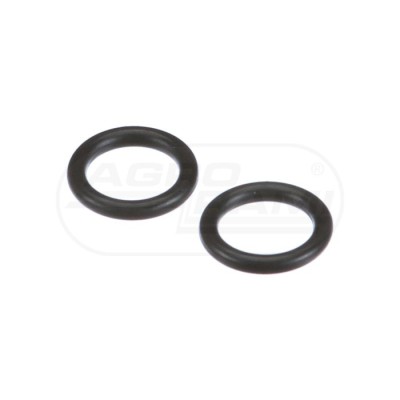 O-ring