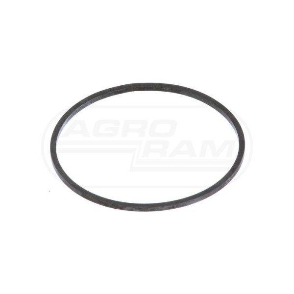 O-ring