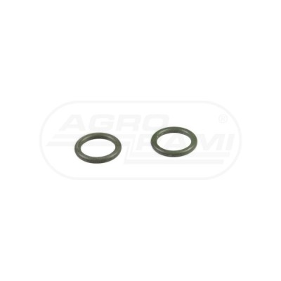 O-ring