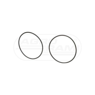 O-ring
