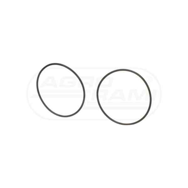 O-ring