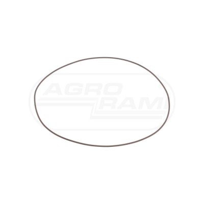 O-RING