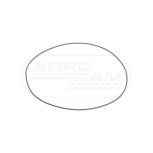 O-RING