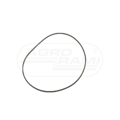 O-ring