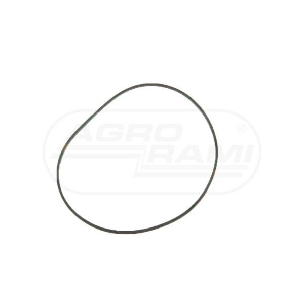O-ring