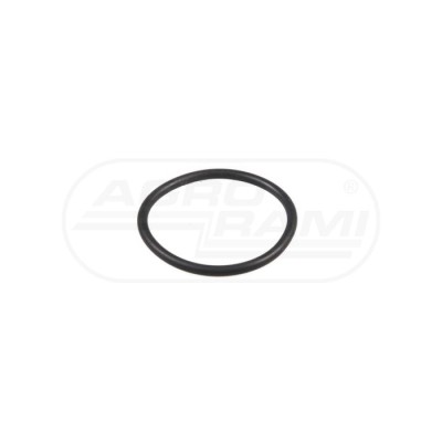 O-ring