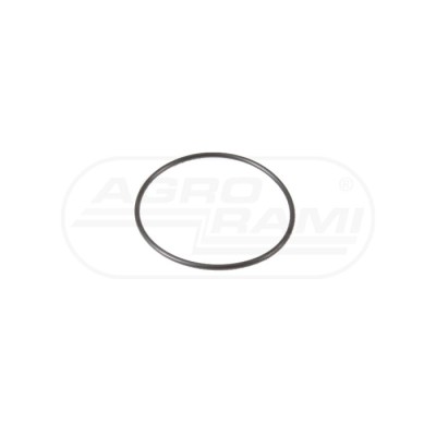 O-ring