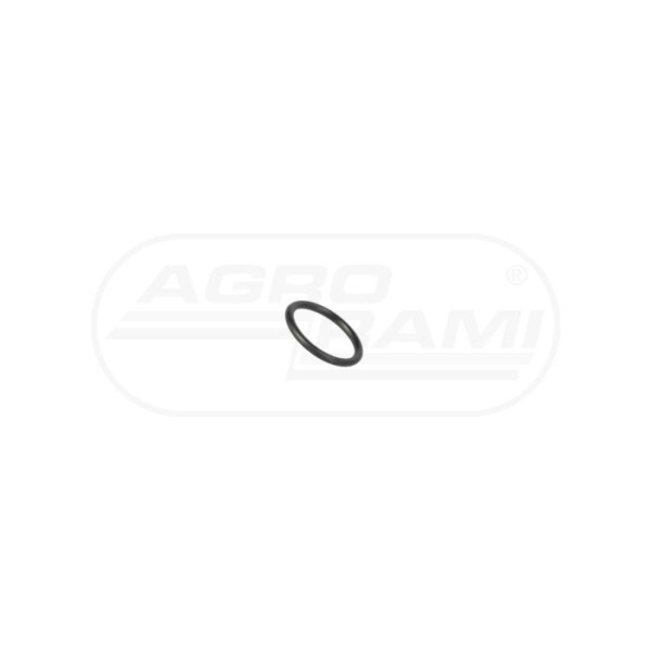O-RING