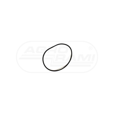O-ring