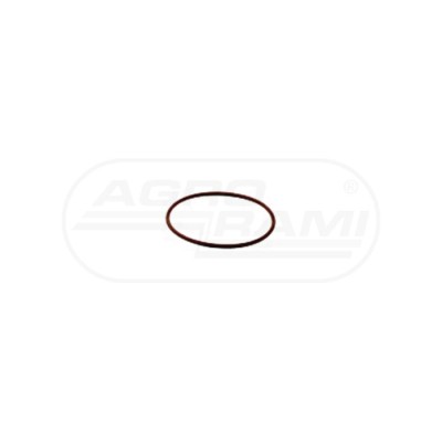 O-ring