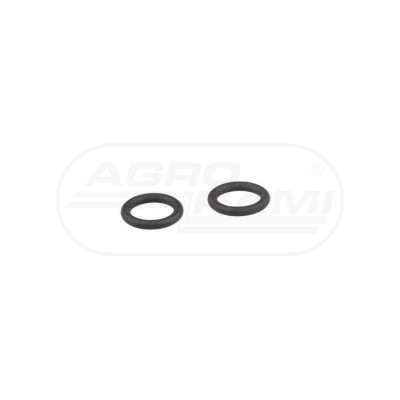 O-ring