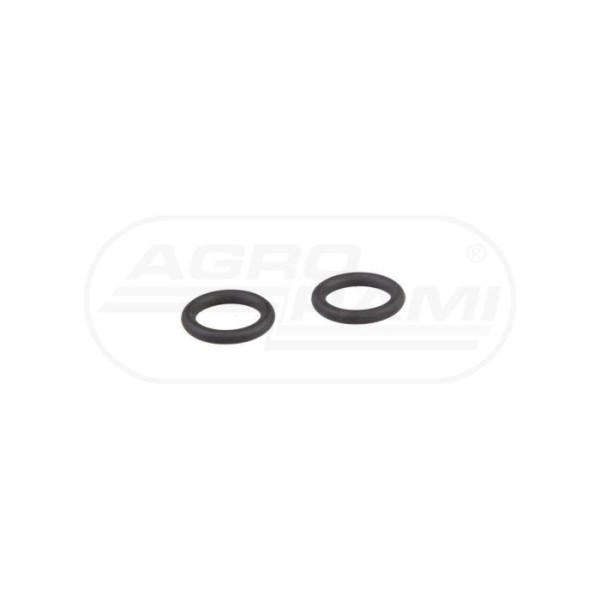 O-ring