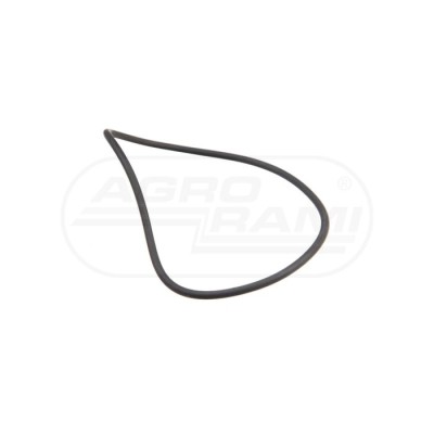 O-ring