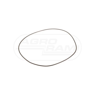 O-ring