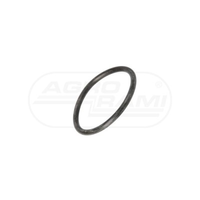 O-ring