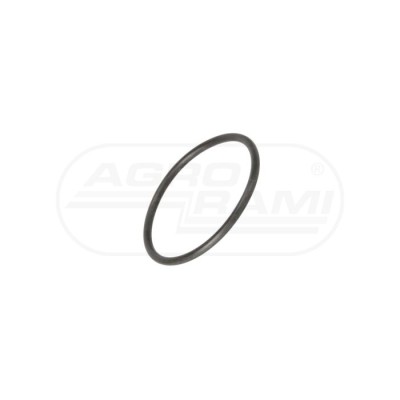 O-ring