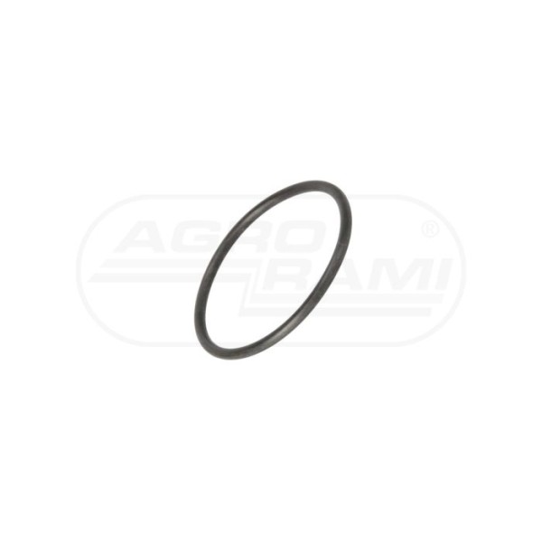 O-ring