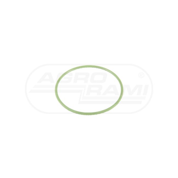 O-ring