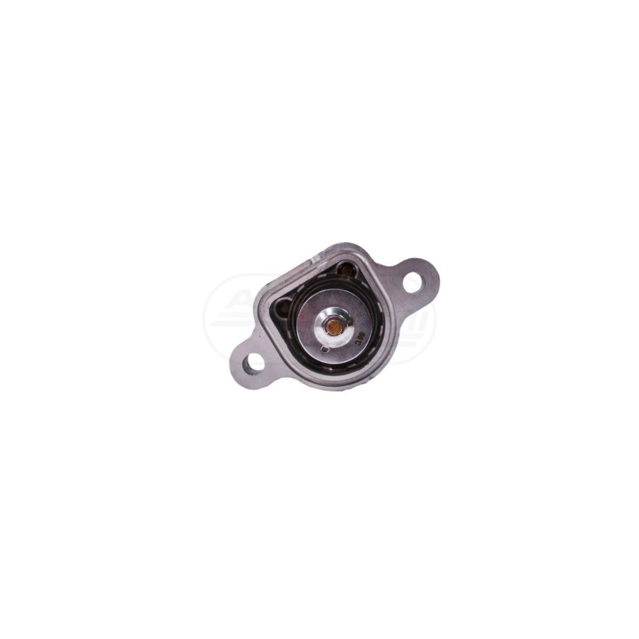 Termostat cieczy chłodzacej 4133L056, 4133L064, T413847