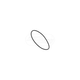O-ring 47499467 Case IH