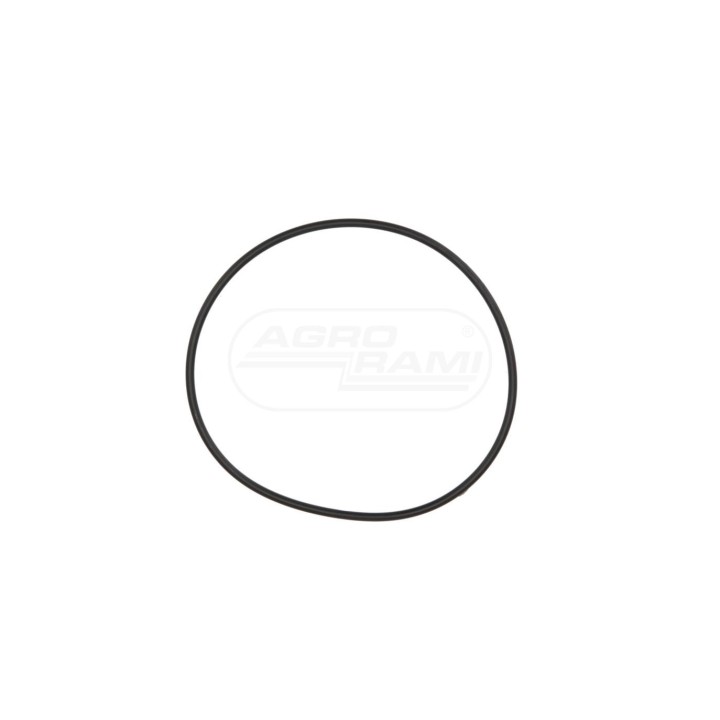 O-ring 47499467 Case IH