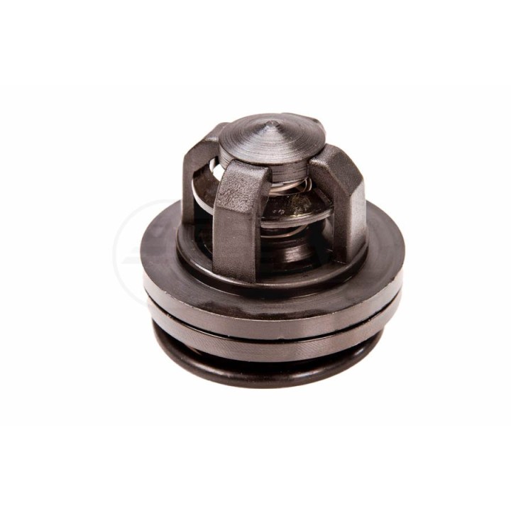 Zaworek pompy Biardzki 1156
