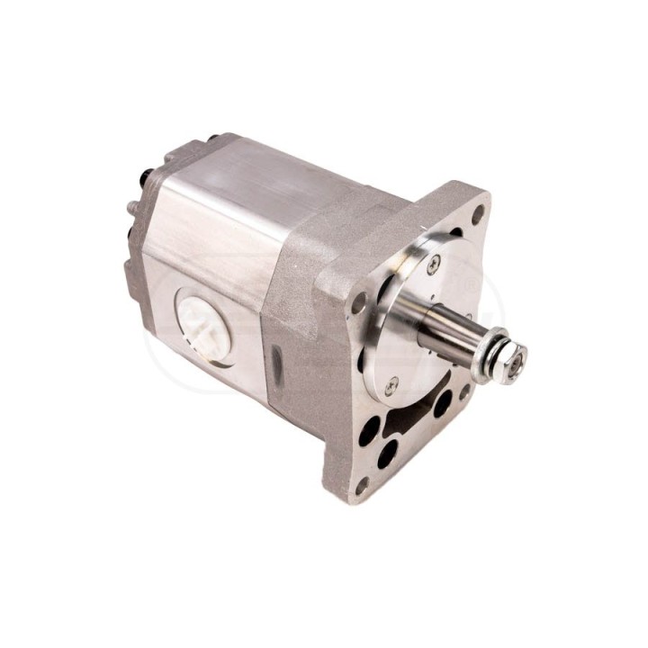Pompa PZ2-KP2-25   Stary Typ 504099551 / I