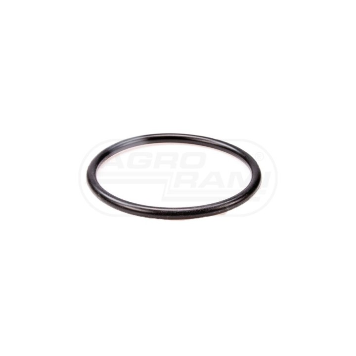 O-ring 86984140, ##, 379715A1 Case IH