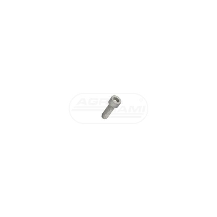 Śruba M10x1,25x30 14307531, 14833634 Case IH