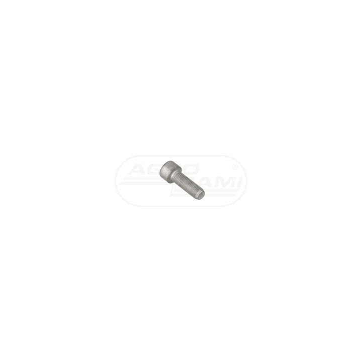 Śruba M10x1,25x30 14307531, 14833634 Case IH