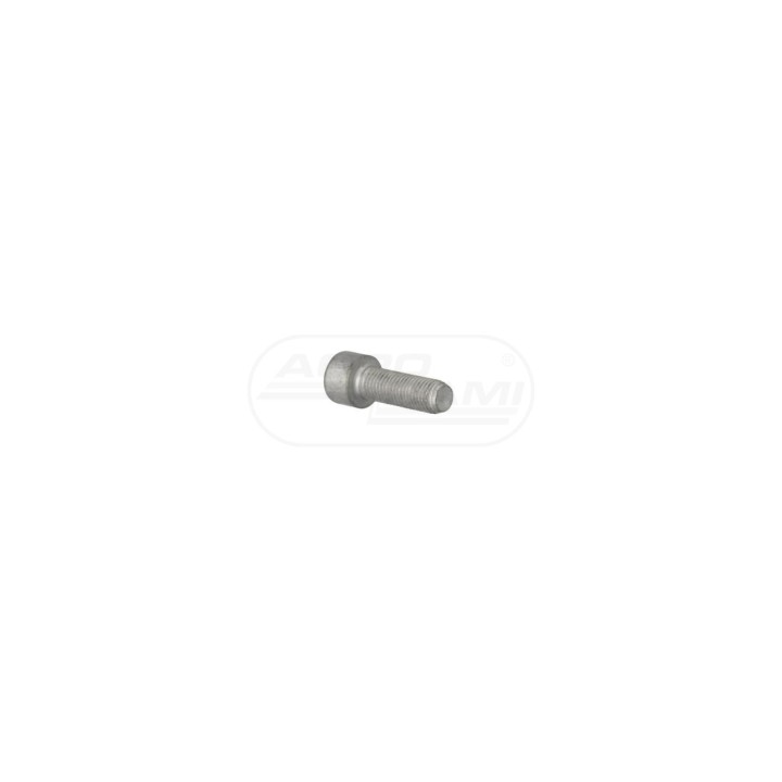 Śruba M10x1,25x30 14307531, 14833634 Case IH