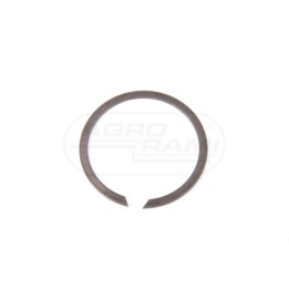 Pierścień 87016255, ##, 583564R1, 101-11250 Case IH