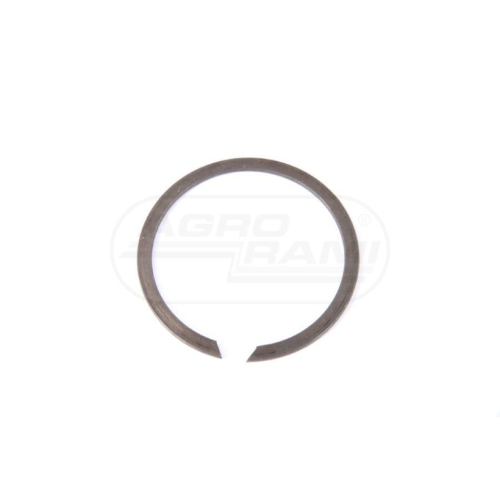 Pierścień 87016255, ##, 583564R1, 101-11250 Case IH