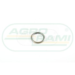 O-ring 4890926, 6901325 Case IH