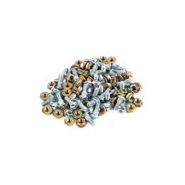 ZESTAW ŚRUB Z NAKR.M6X16 TORX (około 50szt.) 111-001,84429099/102
