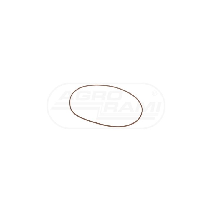 Pierścień uszczelniający CNH 5191498, ## Case IH