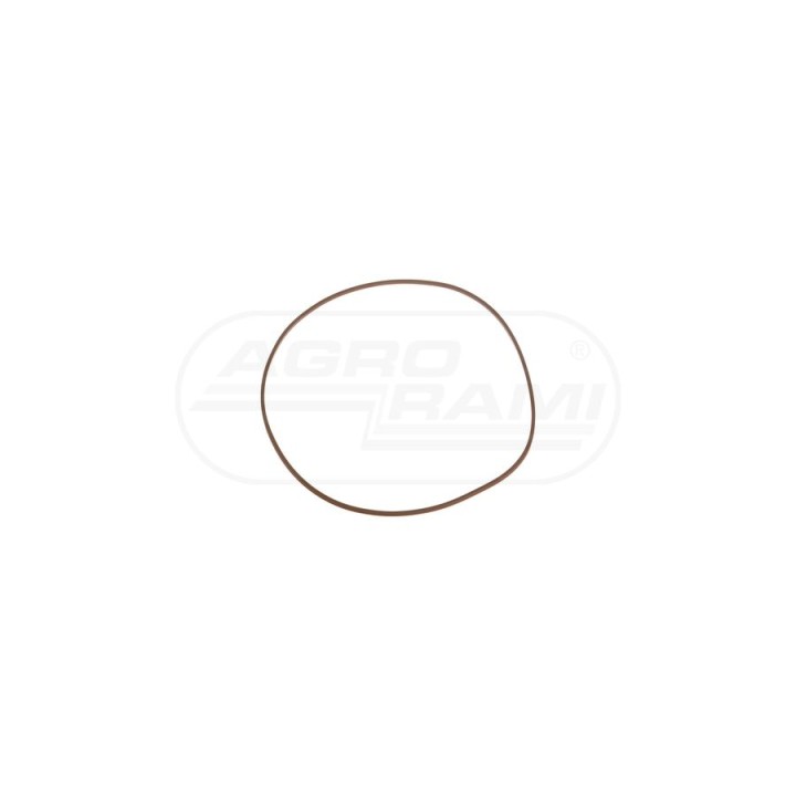Pierścień uszczelniający CNH 5191498, ## Case IH