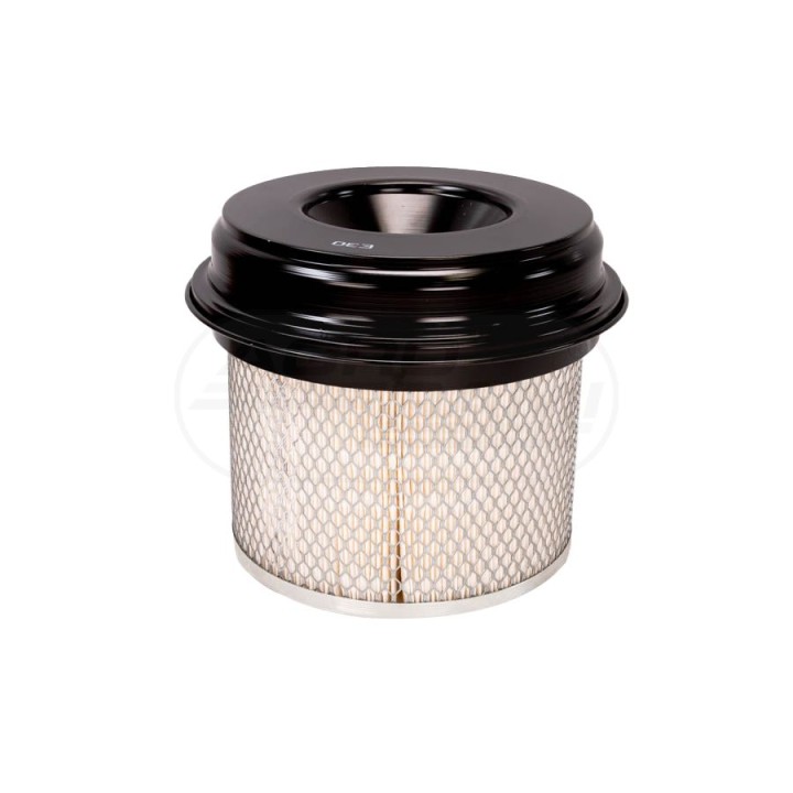 Filtr Powietrza Wa30895 Sędziszów C21338, AF-981, P778472 PZL Sędziszów