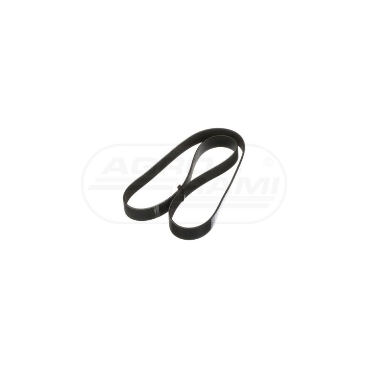 Pas alternatora 8PK1425 84412878, ##, 1002645AP, J911557 Case IH