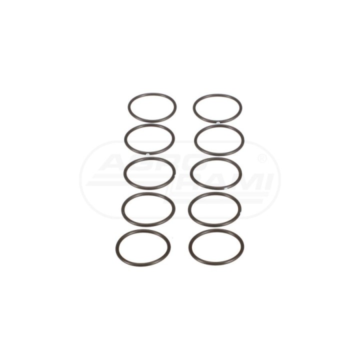 O-ring 9861411, 238-6020, 14453786 McCormick
